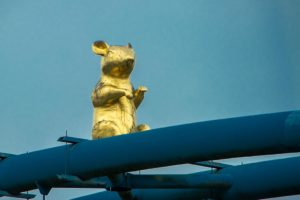 goldene Ratte in Hameln