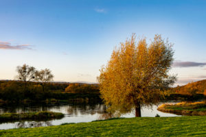 Weser